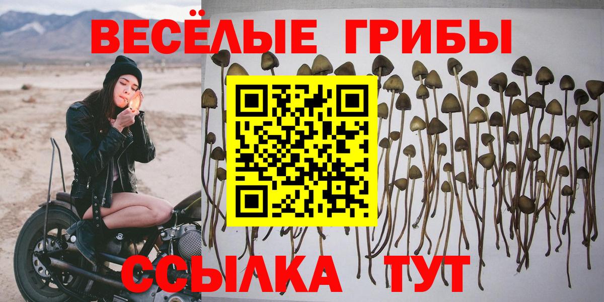даркнет сайт  Галлюциногенные грибы мицелий  Вход с VPN  Назарово 
